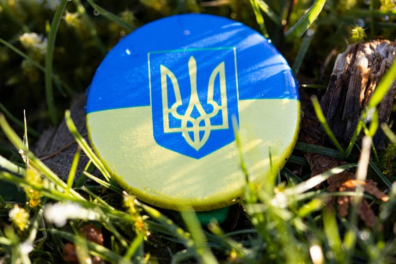 a blue and yellow disc in the grass