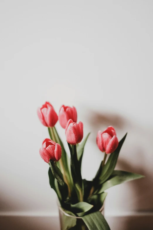 a vase filled with lots of red flowers