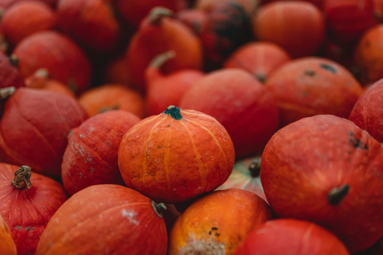 a lot of oranges with some dirt on them