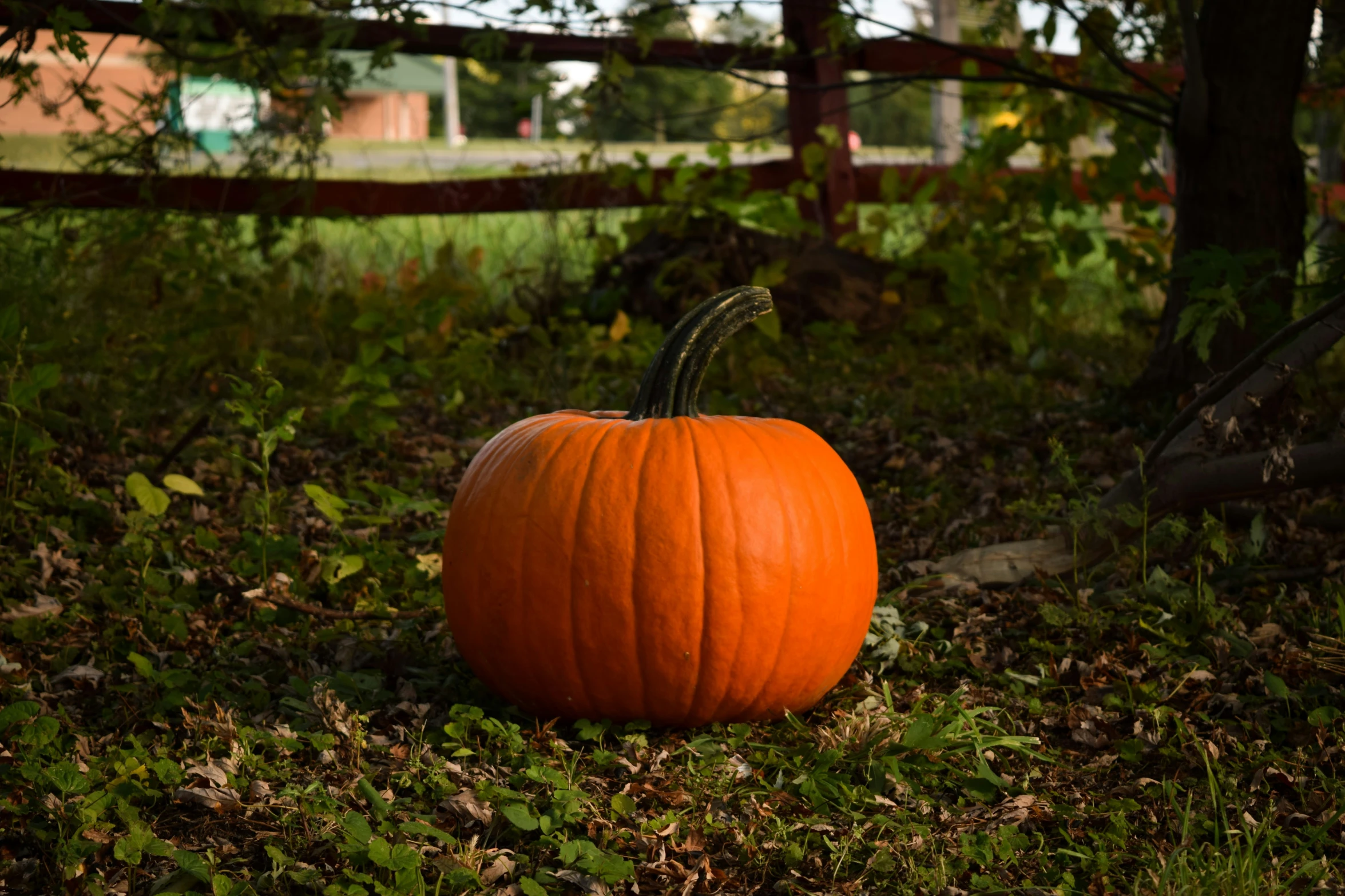 a large pumpkin is standing on the ground by a fence