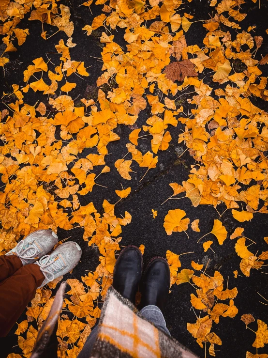 two people walking in an orange flowered walkway