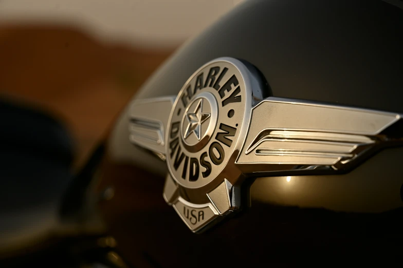 the emblem on a motorcycle is shiny and chrome