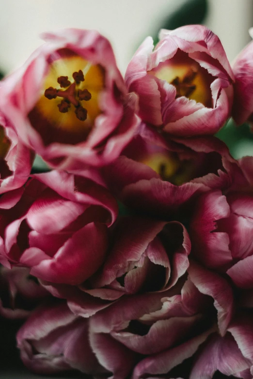 some pink flowers that are in a vase