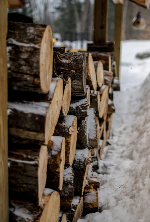 logs are piled up along a wooden fence