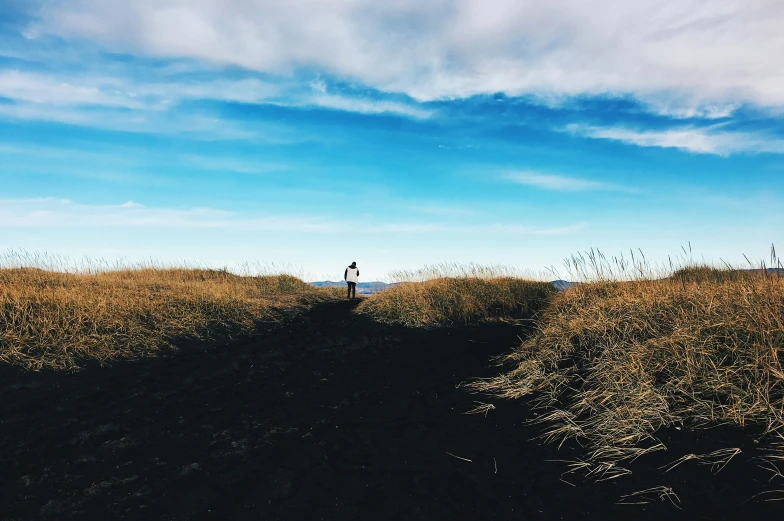 a person walking alone through a grassy field