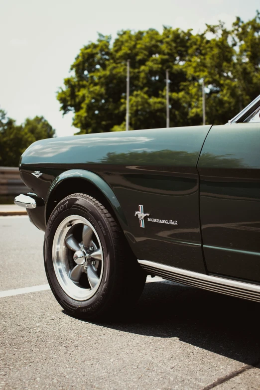 an image of the top of a black mustang