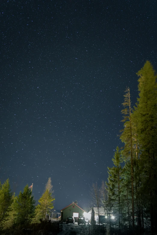 the night sky is filled with stars above pine trees