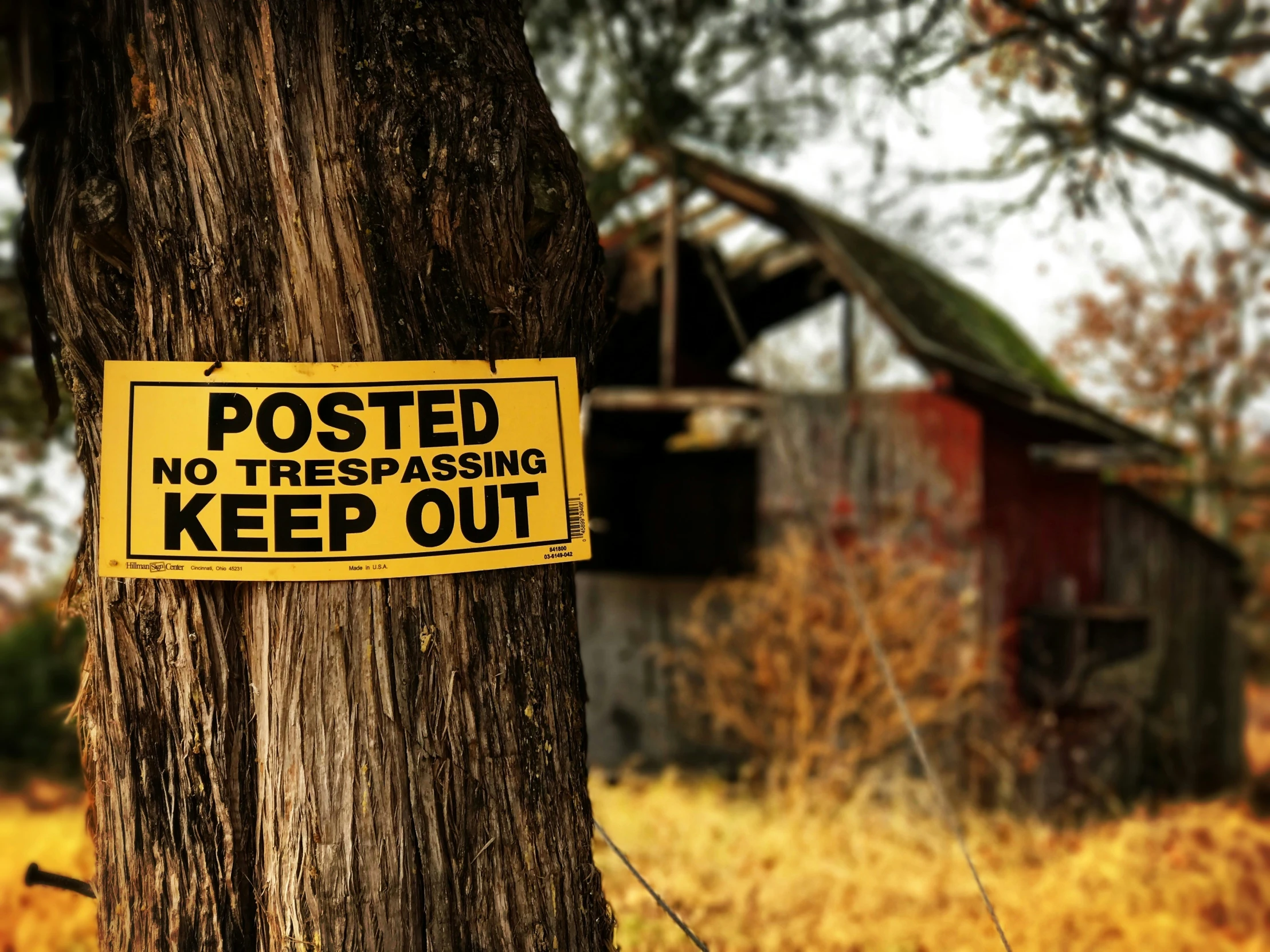 a sign on a tree that reads, posted no trespassing keep out