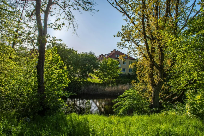 a house that is surrounded by a forest