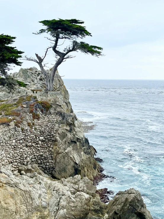 an animal is walking along the side of a cliff