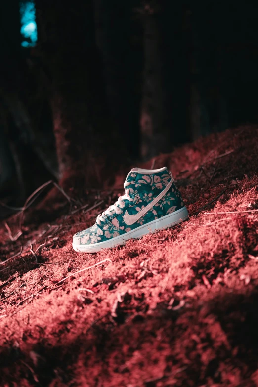 a person is wearing blue nike shoes in the woods