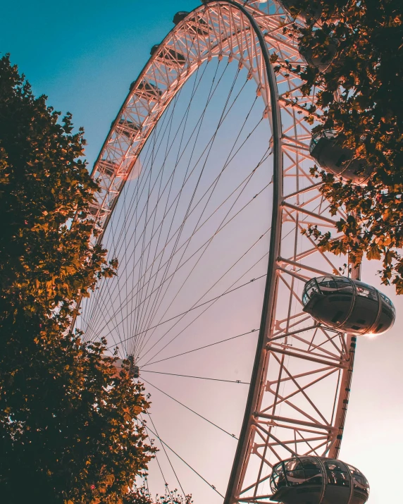 an image of the ferris wheel taken through the trees