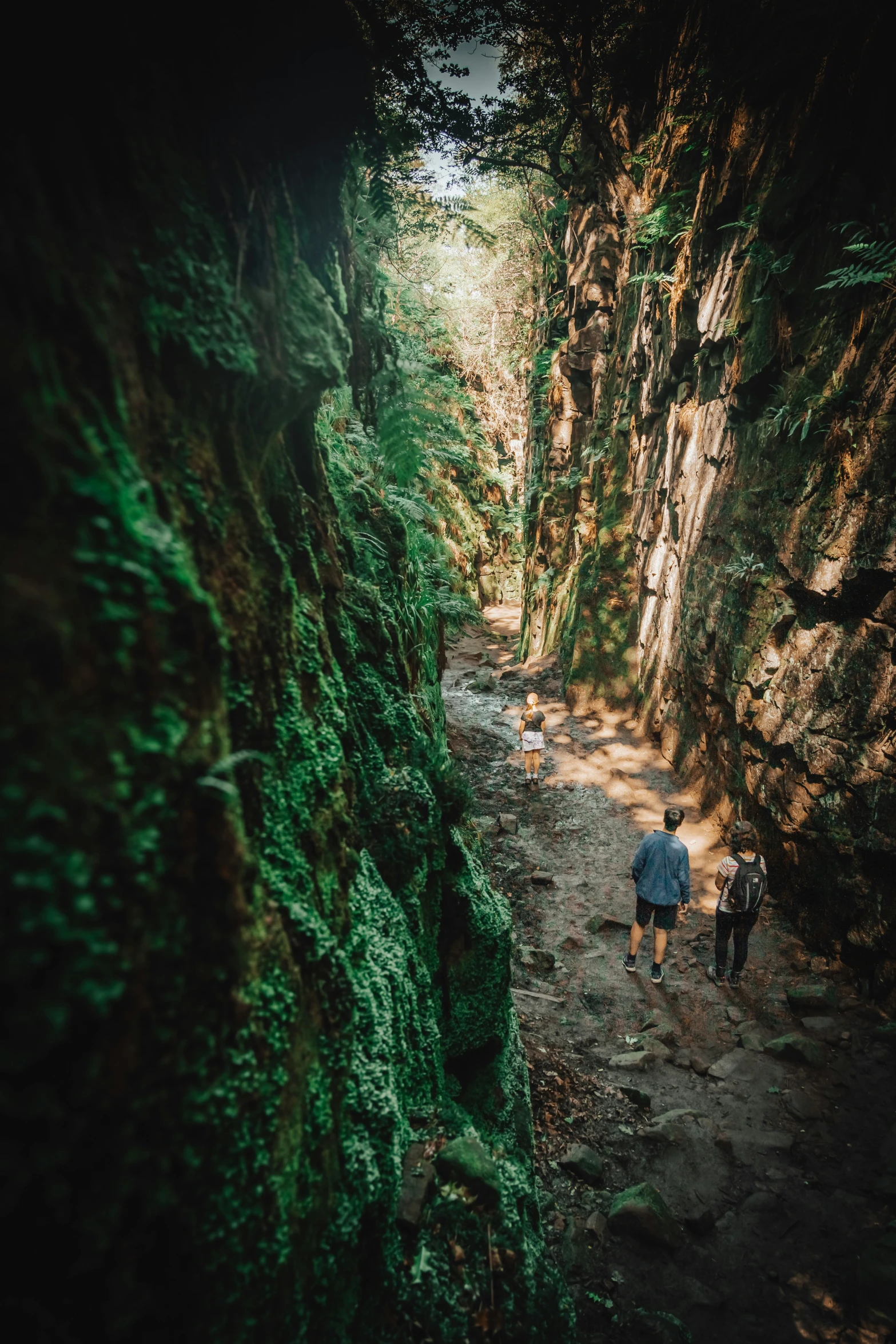 two people with a backpack walking in the woods