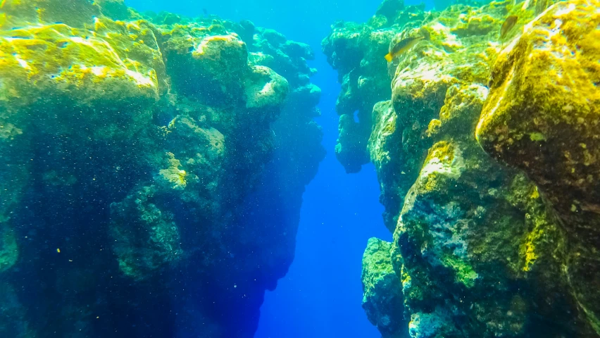 an underwater view from below shows cliffs and rocks