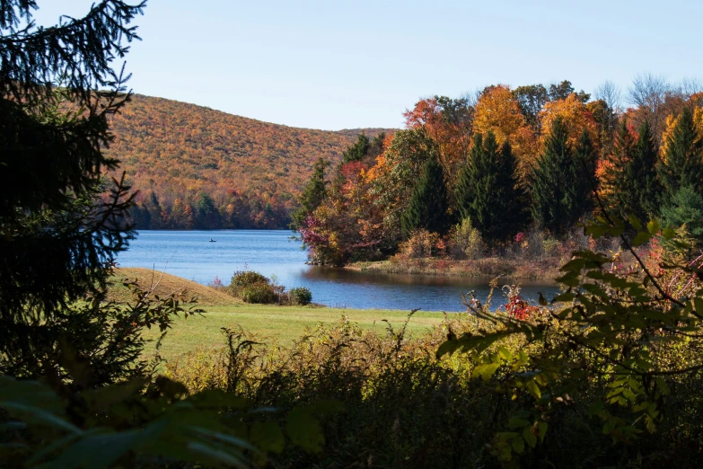 a lake surrounded by colorful trees in a forest