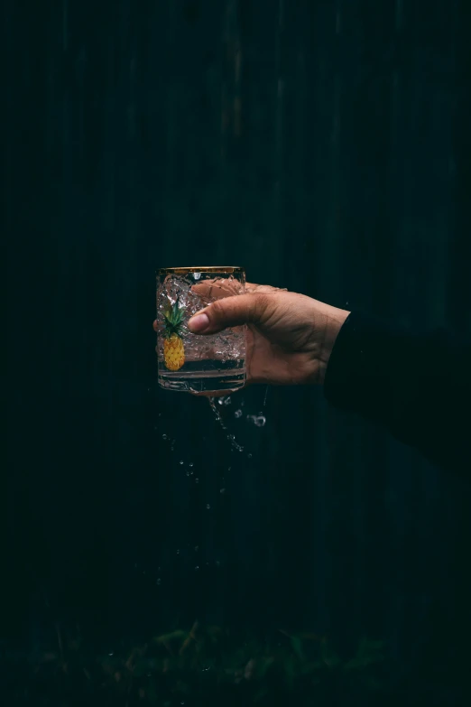 a person holds out a cocktail glass with the fruit on the side