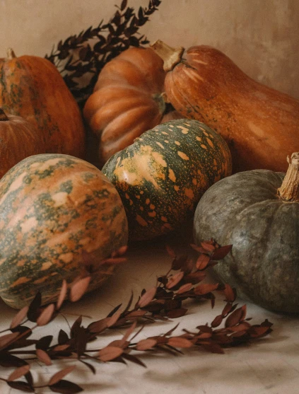 various types of squash in a display bowl