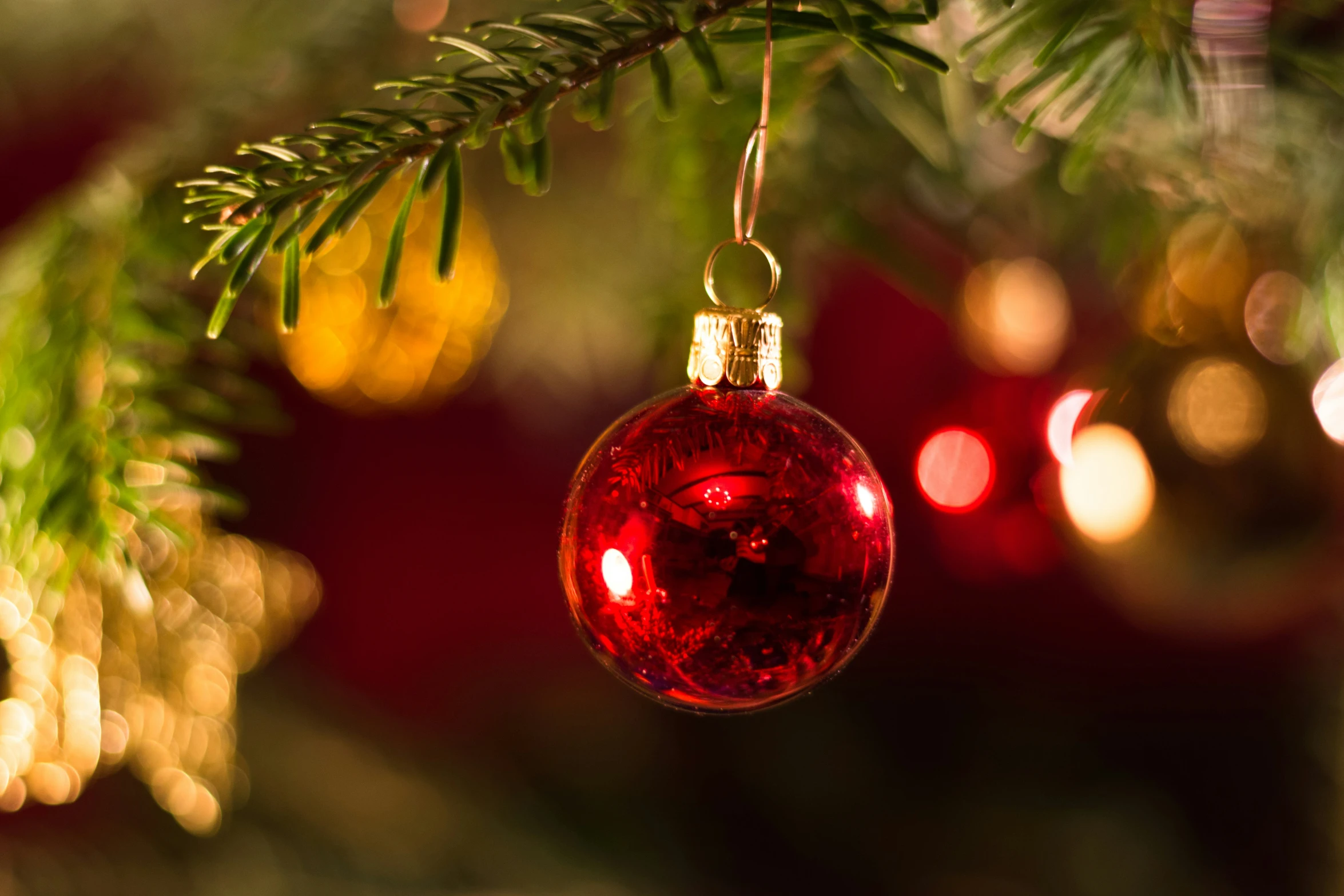 a red ornament hanging from a tree