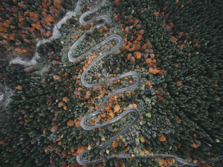 an overhead view of a road surrounded by a forest