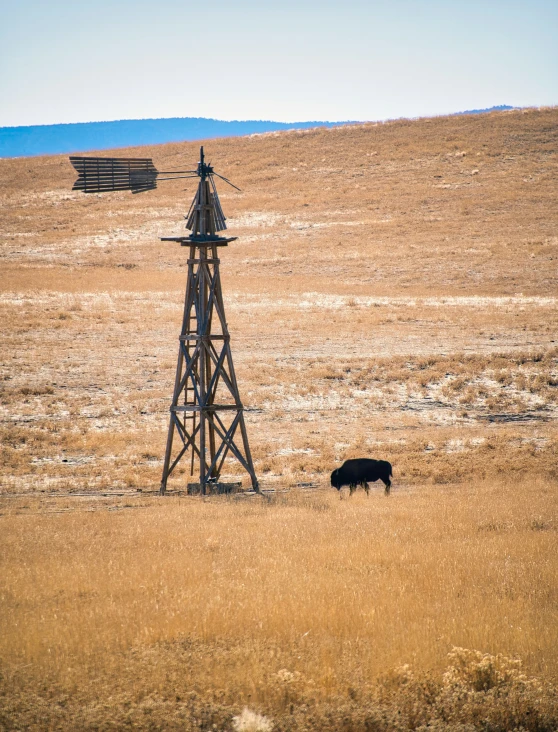 a cow in a field next to a small tower