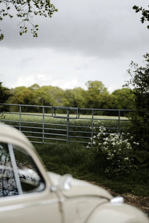 an old car and a horse graze on the grass behind a fence
