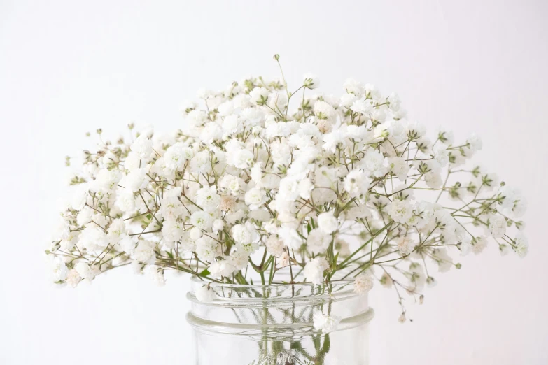 white flowers in glass jar on table