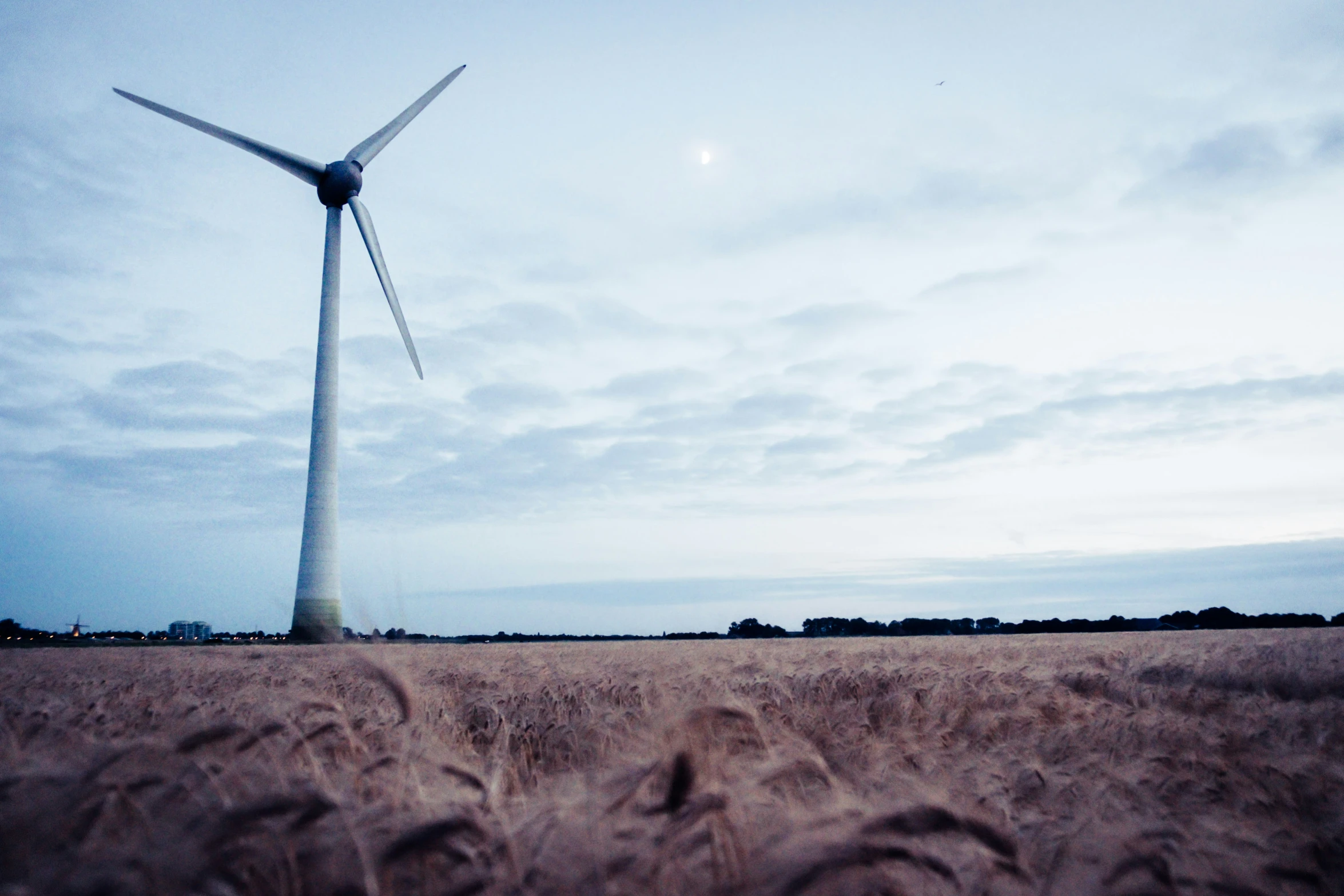 a wind turbine is seen near the ground