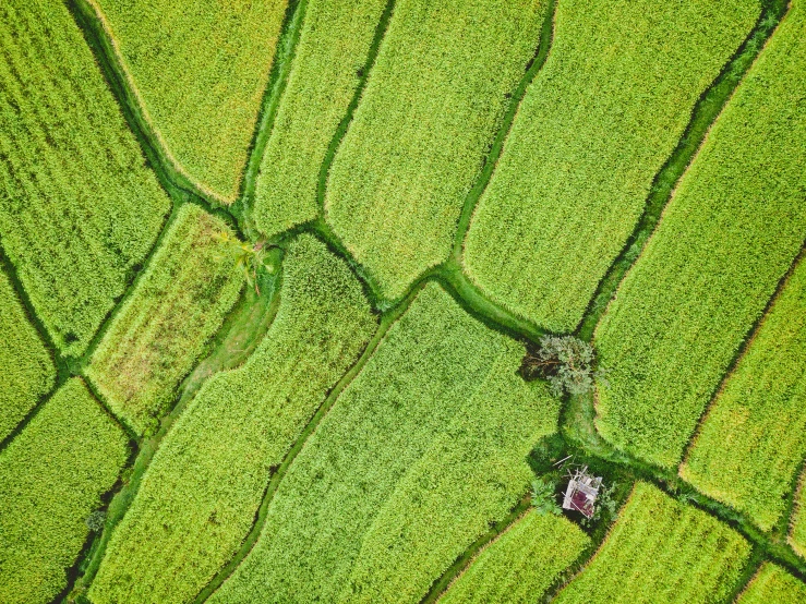 a po taken from the air of a lush green field