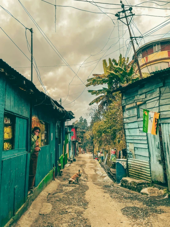 an abandoned village with blue doors and trees in the background