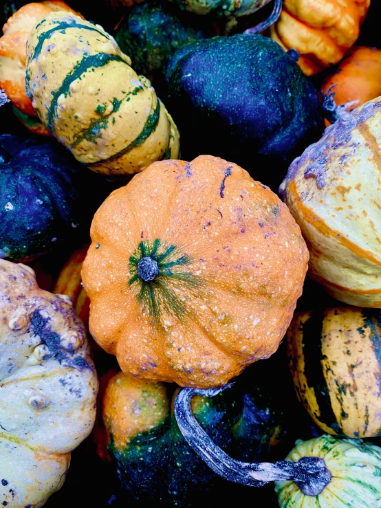 a pile of pumpkins and squash with yellow and green