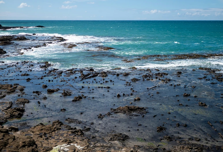 the ocean is covered with rock and green vegetation