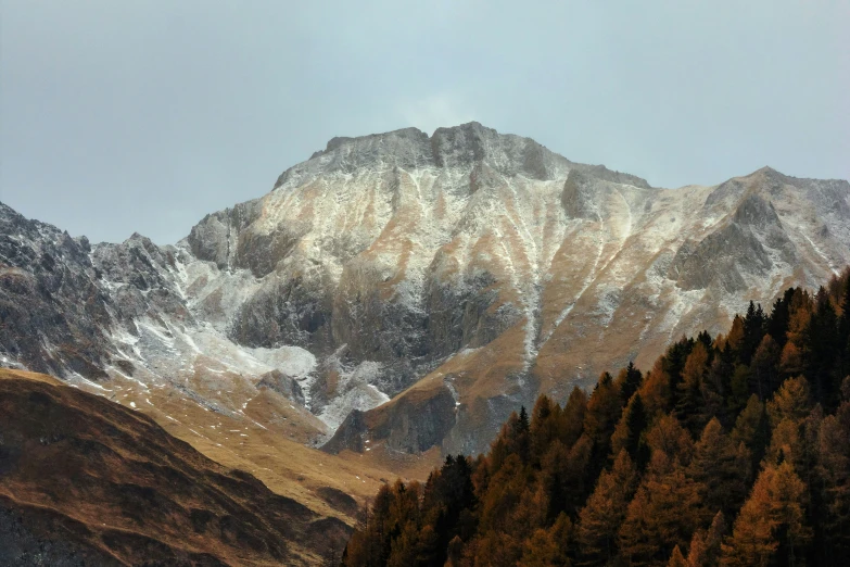 a view of a large mountain, with pine trees