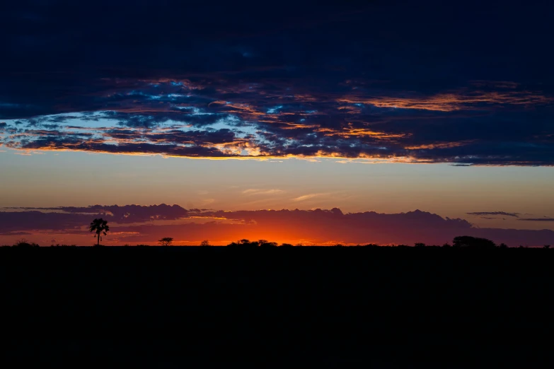 the sun is setting behind trees in the distance