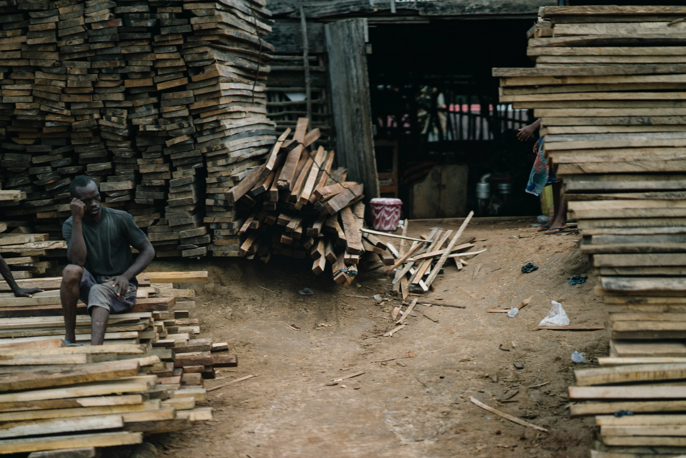 some people are building large pile of wood