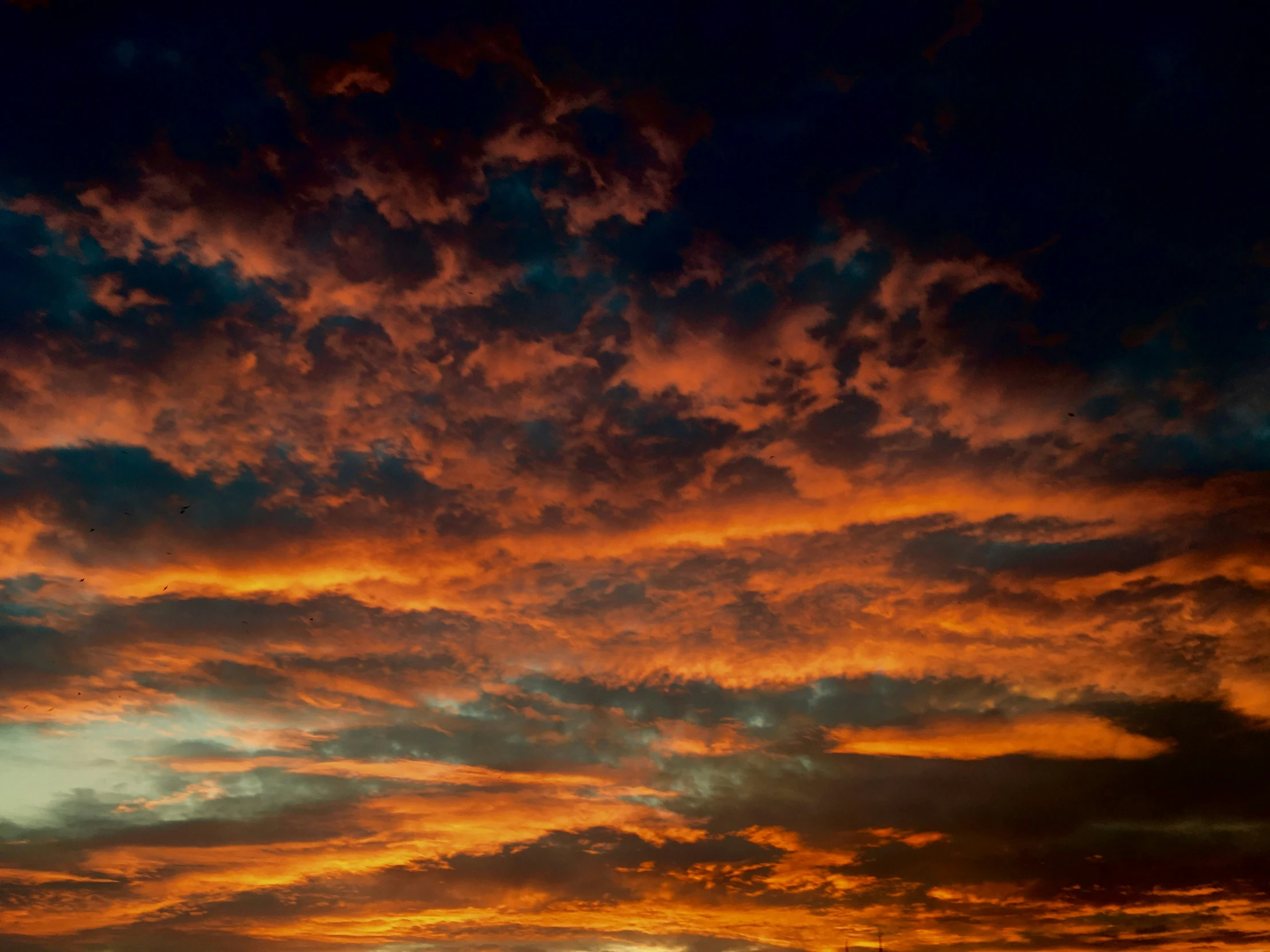 some sky in the distance during sunset with birds