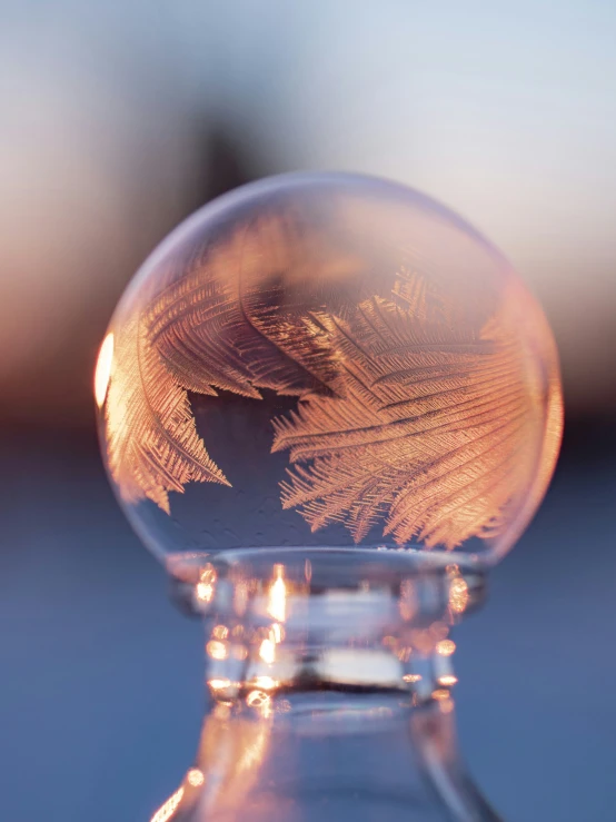 an ice ball with trees in it sitting on top of a table