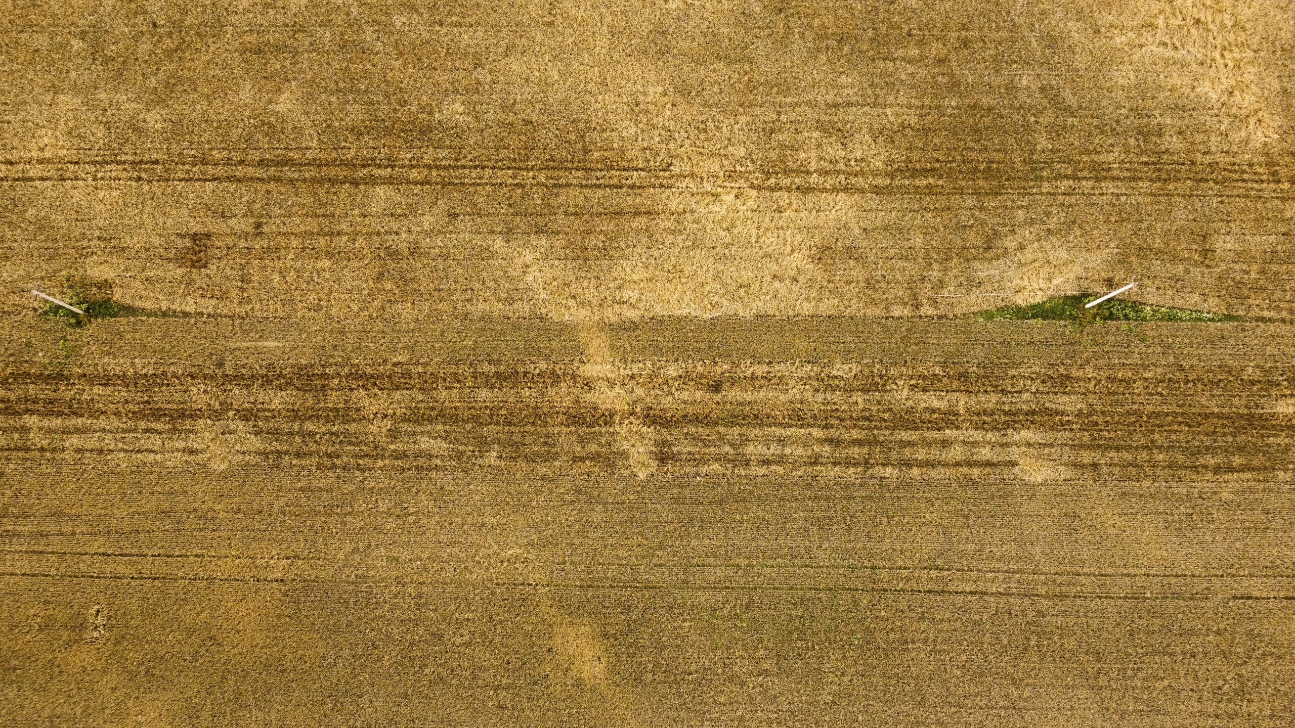 a brown background shows an image with small waves