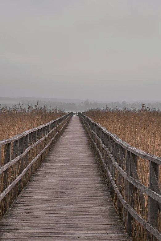 a wooden bridge crosses over some brown marsh grasses