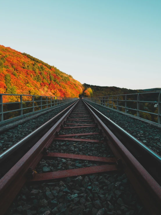 a train track going by an orange autumn mountain