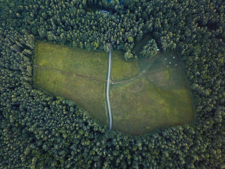 aerial view of green area with road going through surrounded by trees