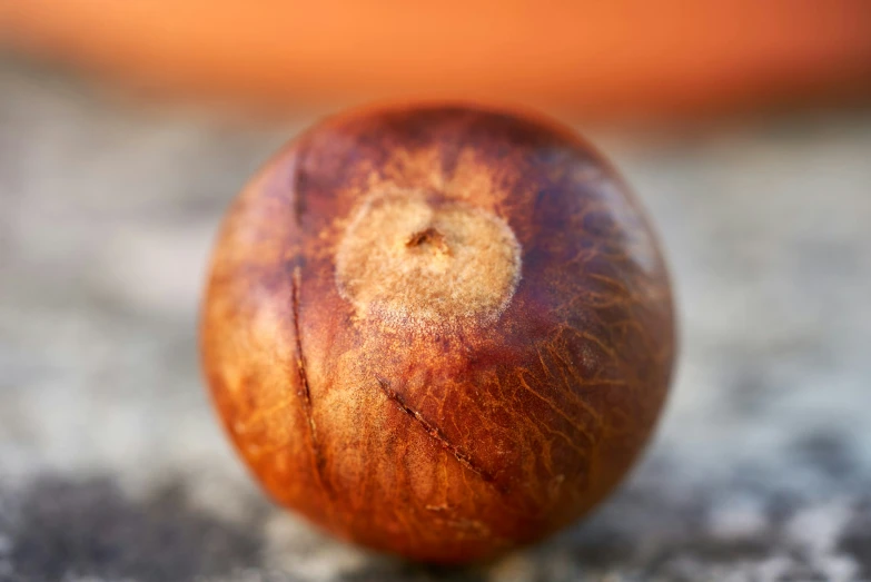 close up view of brown apple with a white circle at the top