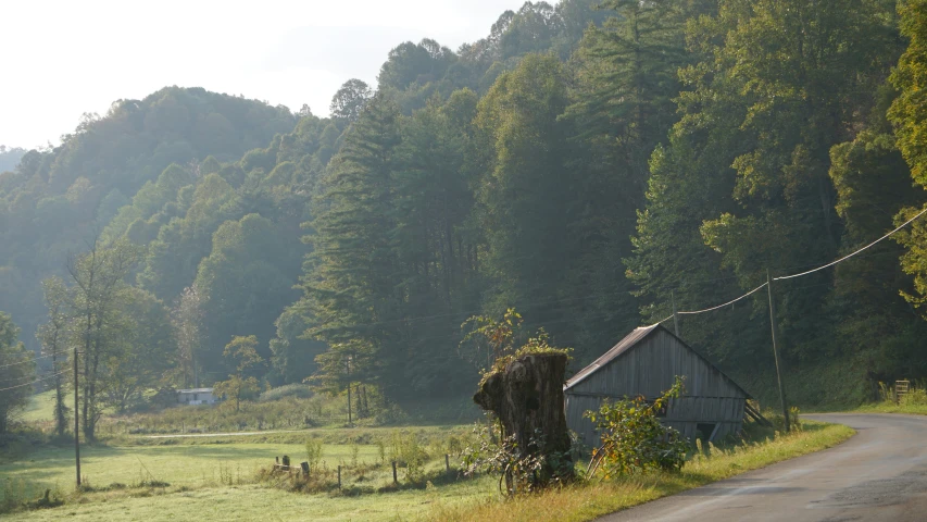 an empty road with trees lining the hillside