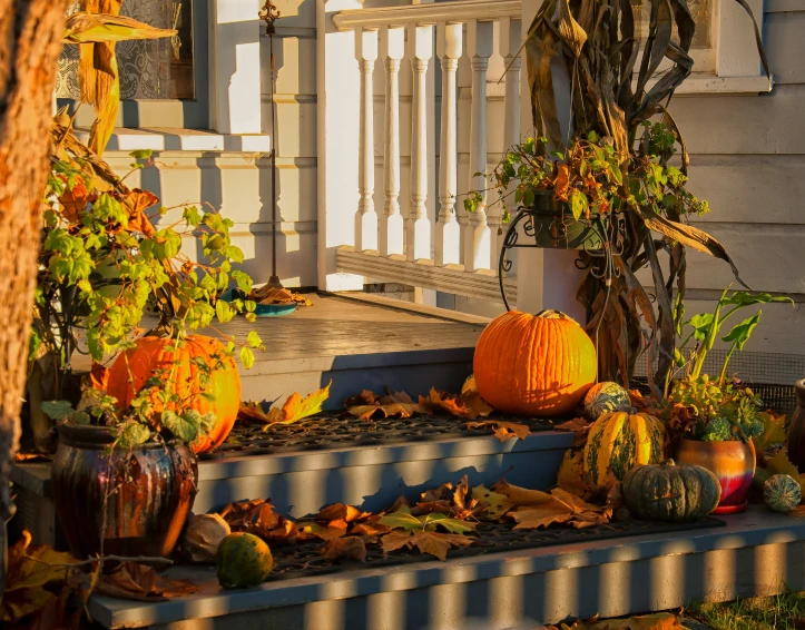 pumpkins, squash and squash vegetables on steps to house