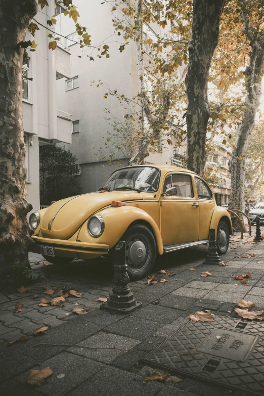 a small yellow beetle parked next to some trees