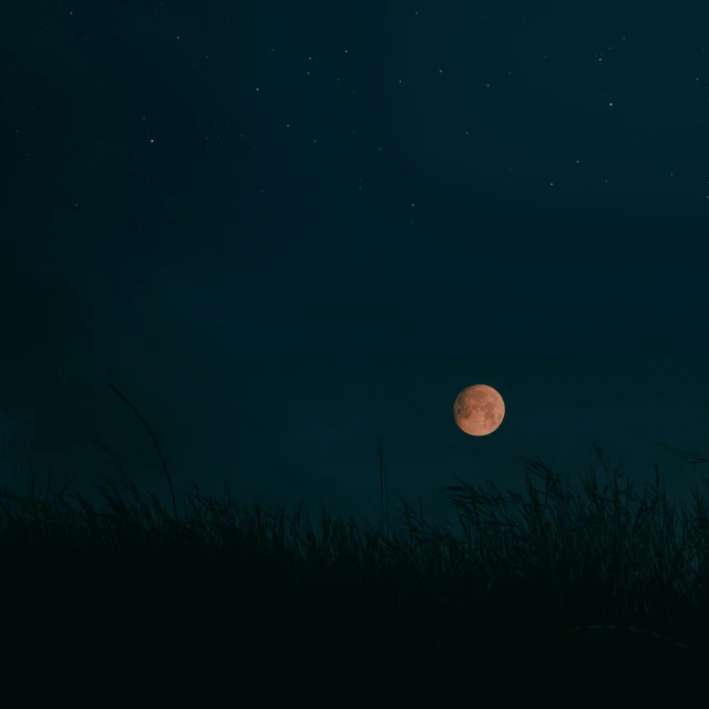 a full moon is shining red on the dark sky