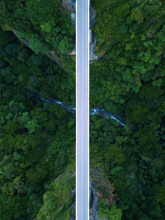 overhead view of an empty road with trees