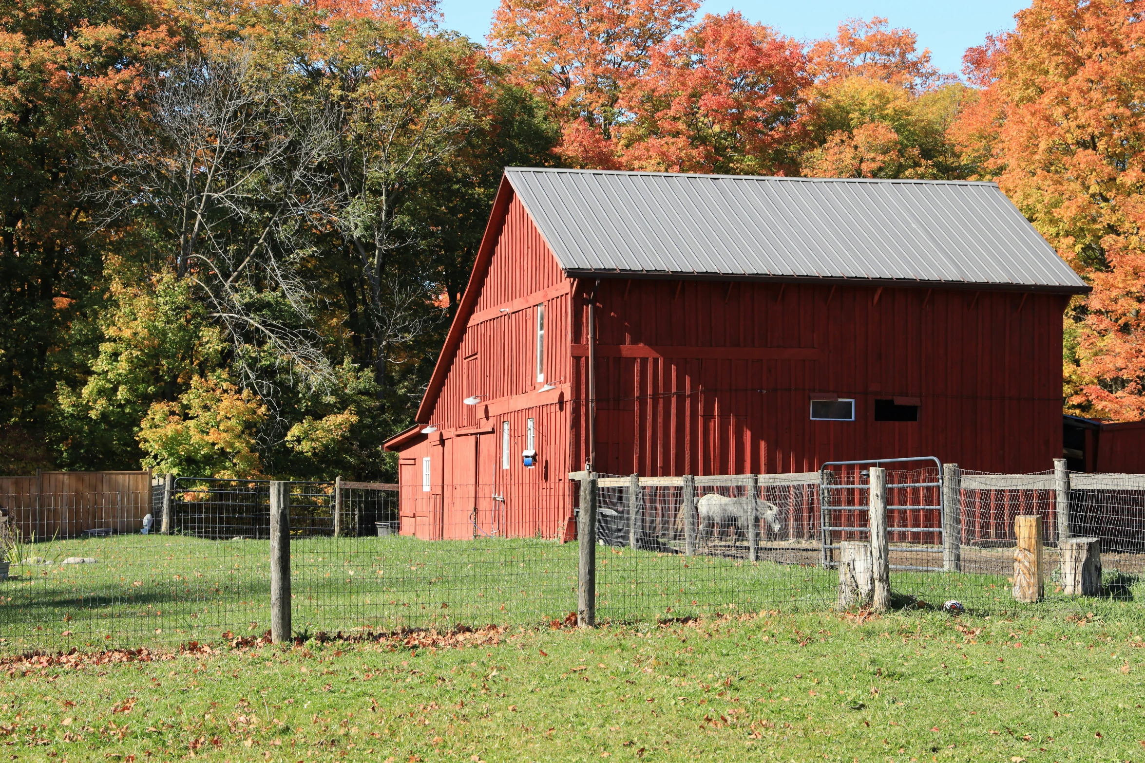 the red barn is along side of the chain link fence