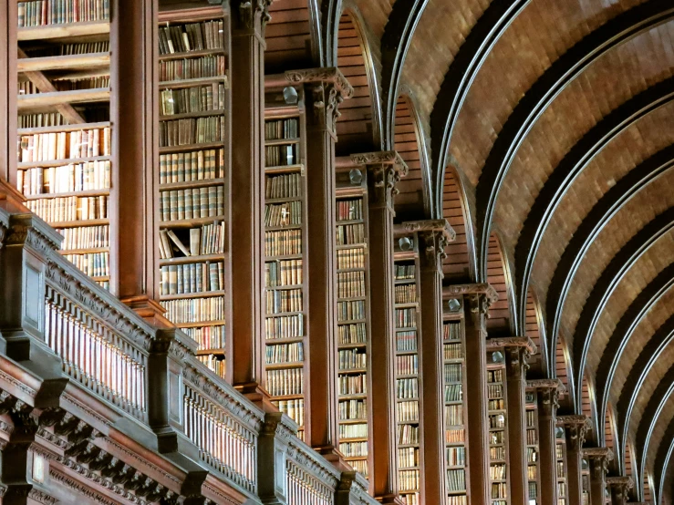 a row of bookshelves with wood trim in a liry