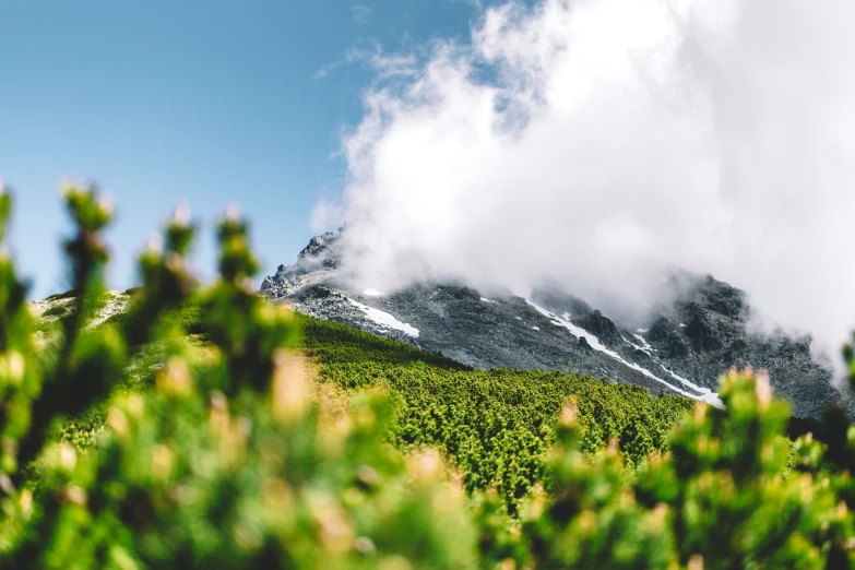 mountains covered in clouds are shown in the foreground