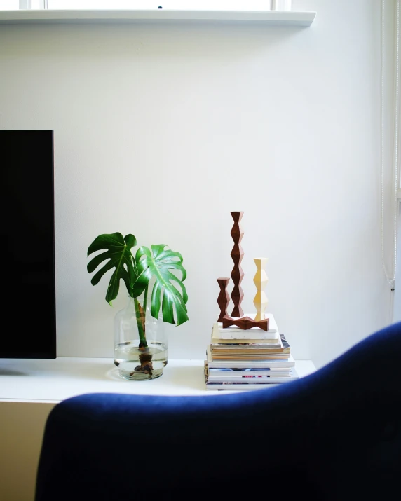 a plant is placed on a bookshelf in front of a television